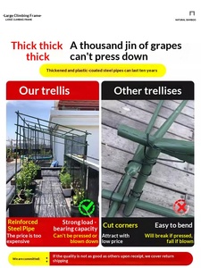 Enrejado para Uvas para Jardinería Exterior, Soporte <span class=keywords><strong>de</strong></span> Trepadores <span class=keywords><strong>de</strong></span> Tubo <span class=keywords><strong>de</strong></span> Acero Recubierto <span class=keywords><strong>de</strong></span> Plástico, Marco <span class=keywords><strong>de</strong></span> Soporte para Uvas y Frutas Tropicales - Product Image 3