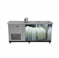 Machine à fabriquer des blocs de glace industriels en acier inoxydable 304, capacité 1 tonne, 10 kg, 20 kg