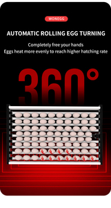 Incubadora de huevos de codorniz, ahorro de energía solar, totalmente automática, 400, Sudáfrica - Product Image 6