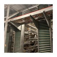 Cages à poules automatiques galvanisées de type H, design haute densité pour économiser de l'espace, équipement avicole