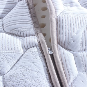 Matelas Premium Euro Top avec ressorts ensachés, couche de mousse en latex naturel de 5 cm, tissu respirant, design à fermeture éclair, renforcé - Product Image 3