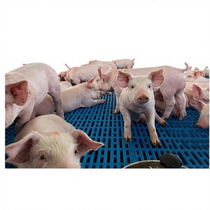 Équipement d'élevage porcin durable de la marque Hengyin, panneaux de clôture en PVC pour enclos, imperméables, couleur personnalisée, garantie 1 an, 24/7 - Product Image 1