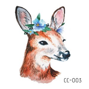 CC003