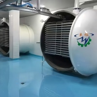 Geavanceerde automatische roestvrijstalen vriesdrooginstallatie met grote capaciteit (10-300 kg per batch) voor fruit, groenten, vis en vlees.
