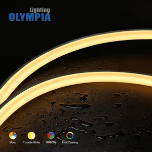 neon led UL CE RoHS Mono outdoor silicone/pvc 3528 24V waterproof ip68 led neon flex rope light flexible strip light neon lights