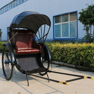 Carroza de Lujo Tipo Rickshaw, Carroza Real para Caballos en Venta, Transporte Especial, Carroza de 2 Ruedas para Poni, Rickshaw - Product Image 1