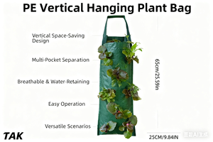 Sacs <span class=keywords><strong>de</strong></span> culture suspendus pour tomates et fraises TAK Garden, pots <span class=keywords><strong>de</strong></span> plantes, conteneurs, jardin vertical non tissé, sacs <span class=keywords><strong>de</strong></span> culture suspendus pour plantes - Product Image 2