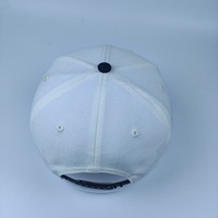 Gorra de Béisbol de 6 Paneles con Logotipo Bordado en 3D Personalizado, Mezcla de Lana, Cierre Trasero Ajustable, Tejido Transpirable e Impermeable