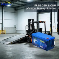 Batterie de manutention 48V 100AH à cellules LFP de qualité A, taux de décharge élevé, conception durable pour pickingur, CE MSDS IP67 RoHS OEM