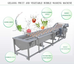 SUS 304 mesin cuci dan pengering sayuran, daun hijau daun Moringa segar mesin cuci dan Pengering - Product Image 6
