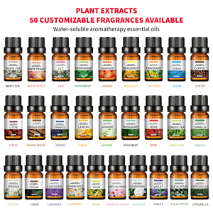 Suministros <span class=keywords><strong>de</strong></span> fábrica 100% puro Original 10 ml difusor <span class=keywords><strong>de</strong></span> Aroma <span class=keywords><strong>de</strong></span> coche <span class=keywords><strong>de</strong></span> grado terapéutico <span class=keywords><strong>aceite</strong></span> esencial sándalo bergamota mejorar - Product Image 4