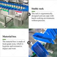 Automatische fruit- en vis sorteermachine (appel, sinaasappel, aardappel) op basis van gewicht en formaat.