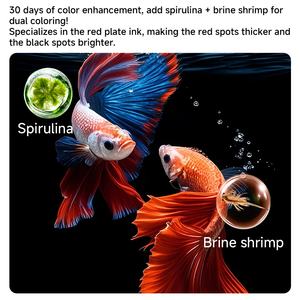 Fábrica YEE, venta al por mayor, cápsula de alta proteína, alimento <span class=keywords><strong>para</strong></span> peces, alimento <span class=keywords><strong>para</strong></span> peces adhesivo <span class=keywords><strong>para</strong></span> alimentación de peces tropicales y dorados - Product Image 4