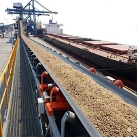 Herramienta de Pesaje Multiindustrial con Carcasa Antioxidante y Descuento al por Mayor para Básculas de Cinta Transportadora