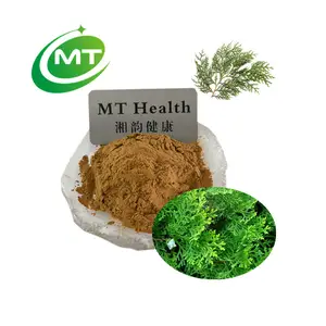 Free Sample Plant extract Organic Biota grientalis Extract 10:1 High quality Biota grientalis Extract Thuja orientalis Powder