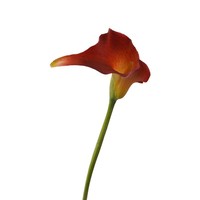 Nouvelles fleurs artificielles Calla Lily hollandaises, aspect doux, pour mariage, photographie en extérieur, accessoires de décoration intérieure