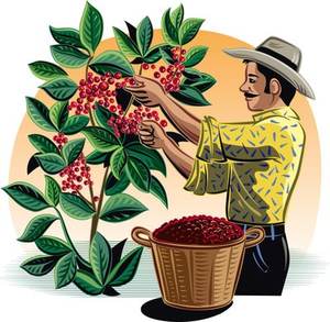 คาโอลินเกรดอุตสาหกรรมสำหรับการผลิตกระดาษ สารเคลือบ สี และเครื่องสำอาง คาโอลินเผาละเอียด 6000 เมช - Product Image 2