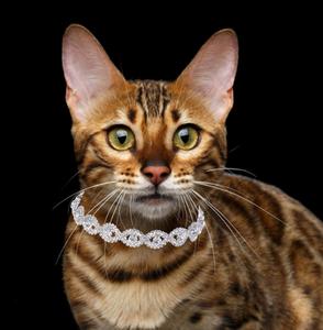 <span class=keywords><strong>Collar</strong></span> de cristal ajustable para perro, <span class=keywords><strong>Collar</strong></span> de lujo para cachorro, joyería para gato, Diamante con adornos ostentosos, diamantes de imitación - Product Image 4
