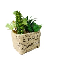 Arrangement de plantes succulentes artificielles en pot en céramique, style nordique, plante de bureau, décoration en pot, prêt à la vente, boîte cadeau