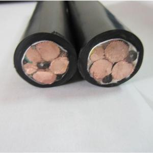 สายเคเบิลกันน้ำ BRMC 500 เมตร 2 แกน ขนาด 0.1 ตร.มม. แบบตีเกลียว พร้อมฉนวน XLPE PVC PE Mica สำหรับงานไฟฟ้า - Product Image 4