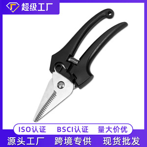 Sécatrices en acier inoxydable noires robustes, outil de jardin pour cueillir les fruits - Product Image 3