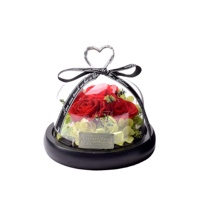 HFlora Rose éternelle préservée sous cloche en verre faite à la main, longue durée (3-5 ans), cadeau pour la Fête des Mères et la Saint-Valentin