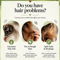 Sabun Sampo Padat Herbal Teh Herbal Alami untuk Perawatan Rambut dengan Minyak Biji Teh