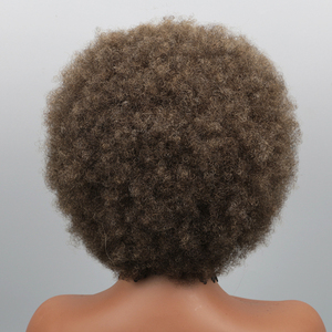 Perruque Lace Front 13x4 Marron Afro Kinky Curly en <span class=keywords><strong>Cheveux</strong></span> Humains Vierges Brésiliens Remy avec Dentelle Transparente pour un Aspect Naturel - Product Image 4
