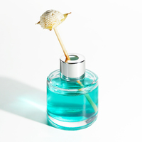 Personnalisable Propre logo 100ml 120ml Transparent Couleur Rond Roseau Diffuseur Bouteille En Verre Parfum Vide Aromathérapie Avec Bâton