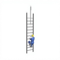 Système de ligne de vie verticale, échelle, dispositif de protection contre les chutes en ligne droite, câble en acier inoxydable, corde, dispositif d'arrêt de chute, capacité de charge de 22 KN / résistance à la rupture de 37 KN