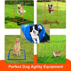 Equipo de Entrenamiento de Agilidad para Perros, Ecológico, de Plástico/PVC, para Exteriores, con Túnel, Postes, Obstáculos y Pista de Ejercicios - Product Image 2