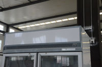 Congélateur vertical commercial à double porte vitrée, refroidissement par ventilateur, dégivrage automatique, en acier inoxydable, pour supermarché