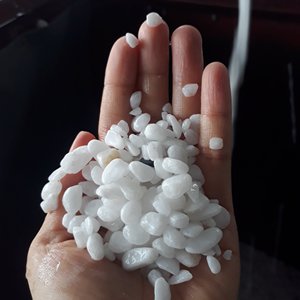 Plante du Vietnam en gros, décoration d'aquarium de poissons, galets blancs, aménagement paysager, jardin, galets - Product Image 1