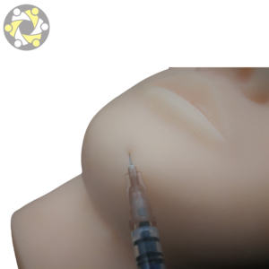 La <span class=keywords><strong>Scienza</strong></span> medica Modello di <span class=keywords><strong>Formazione</strong></span> del Silicone Viso con Gli Occhi del naso del Labbro per la Chirurgia Plastica Pratica - Product Image 3