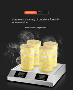 Four à vapeur électrique <span class=keywords><strong>professionnel</strong></span> standard fiable <span class=keywords><strong>pour</strong></span> la <span class=keywords><strong>restauration</strong></span> en chaîne - Product Image 5