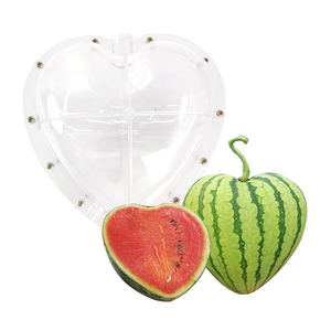 Dưa hấu nhựa trái tim vuông tăng trưởng khuôn Ngày Valentine Quà Tặng nhà máy chuyên nghiệp hình thành - Product Image 4
