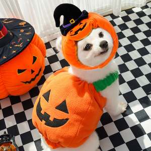 Disfraz de Calabaza de Halloween para Perro con Sombrero de Bruja, Ropa Acolchada de Algodón para Mascotas, Atuendo Divertido para Perros Pequeños - Product Image 4
