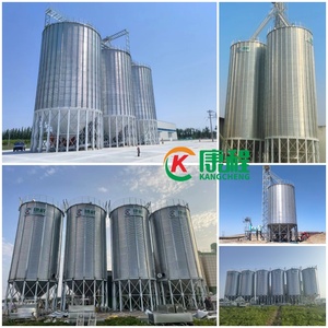Новые индивидуальные зернохранилища-силосы от производителя, 100, 200, 500, <span class=keywords><strong>1000</strong></span> тонн, цилиндрические силосы для хранения кукурузы, арахиса, кунжута, пшеницы - Product Image 4