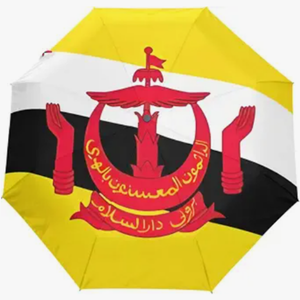 Parapluie compact de <span class=keywords><strong>voyage</strong></span> pour voiture, style créatif, imprimé drapeau national de <span class=keywords><strong>Chypre</strong></span>, haute qualité, ouverture et fermeture entièrement automatiques - Product Image 5