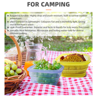 Boîte à lunch pliable en silicone hautement transparente pour l'extérieur, couvercle de qualité alimentaire, résistant à la chaleur, anti-odeur, pour le camping