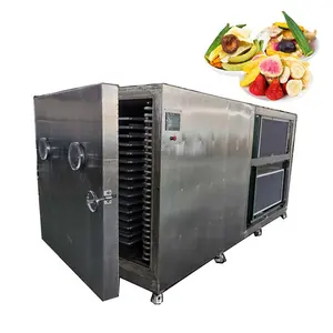 Commercial Food Freeze Dryer Salsicha Assada Carne Frutas Marisco Vegetal Vacuum Freeze Dryer