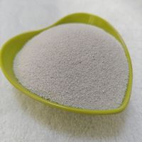 Catégorie (Produits) Perles dérivantes directes d'usine pour la métallurgie du pétrole de construction et d'autres industries Dépôt minéral non métallique