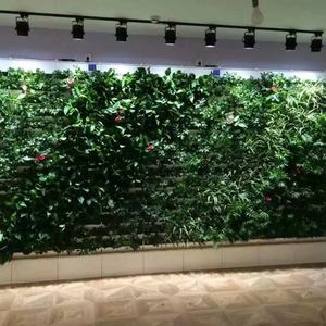 Jardín Interior de Diseño Moderno para Decoración del Hogar y la Oficina, Kit de Jardín Vertical para Pared, Venta Directa de Fábrica - Product Image 6