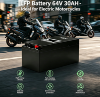 Batterie de remplacement TSX Power pour moto, 64V 30Ah LiFePO4, pack de batteries au lithium pour scooter électrique, 1200 cycles