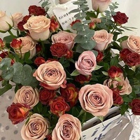 Roses à feuilles de jade Golden Branches Direct Dounan Base Kunming Yunnan ; Lys hydroponiques fraîchement coupés pour la Saint-Valentin