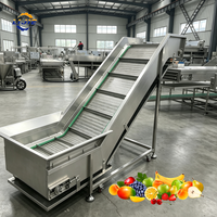 Energiebesparende industriële fruitwasmachine, stabiele werking, belletjesreinigingslijn voor citrusverwerkingsfabriek