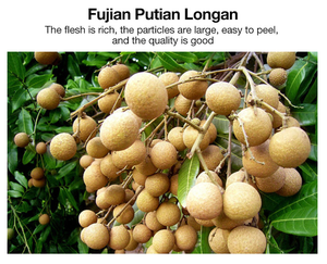 Китайская медицина, жиросжигающий патч, наклейки на пупок, средства для похудения, похудение, пупок, тонкий патч - Product Image 4