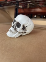 Crâne d'Halloween Réaliste en PVC, Tête de Squelette, Décoration Horreur pour Maison Hantée, Fête Gothique, Festival, Décoration Intérieure Réutilisable