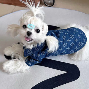 Veste en jean de luxe personnalisée avec monogramme pour chien, vêtements pour animaux de compagnie confortables et élégants pour chiens et chats de petite, moyenne et grande taille - Product Image 3