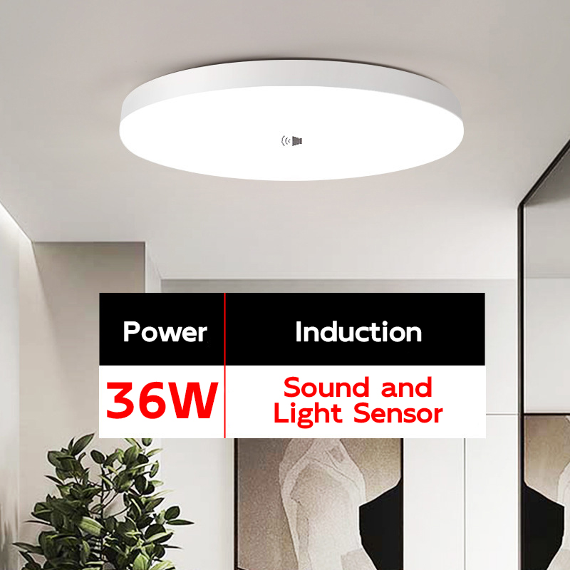 36W [Sound Light Control Induction] White Light